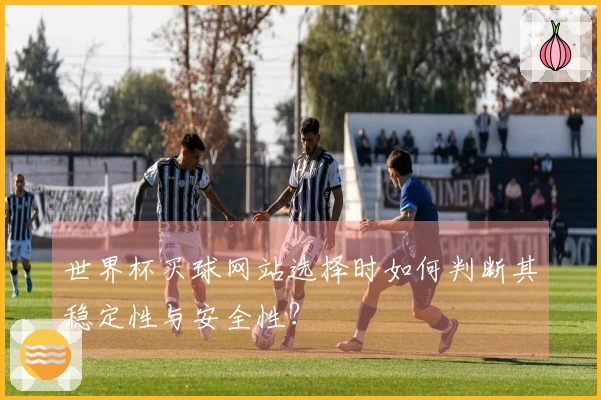 世界杯买球网站选择时如何判断其稳定性与安全性？