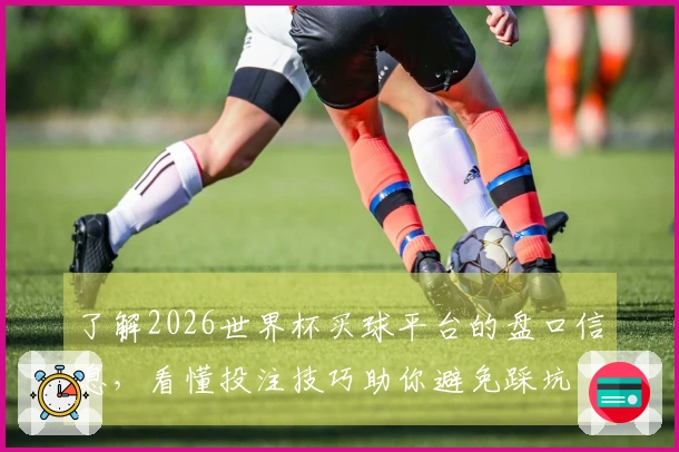 了解2026世界杯买球平台的盘口信息，看懂投注技巧助你避免踩坑