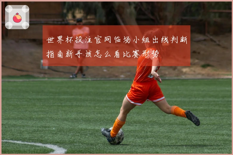 世界杯投注官网临场小组出线判断指南新手该怎么看比赛形势