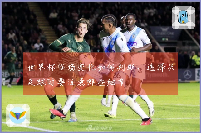 世界杯临场变化如何判断，选择买足球时要注意哪些细节