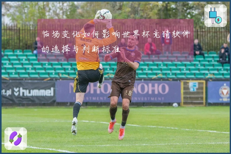 临场变化如何影响世界杯竞猜软件的选择与判断标准