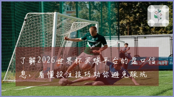 了解2026世界杯买球平台的盘口信息，看懂投注技巧助你避免踩坑